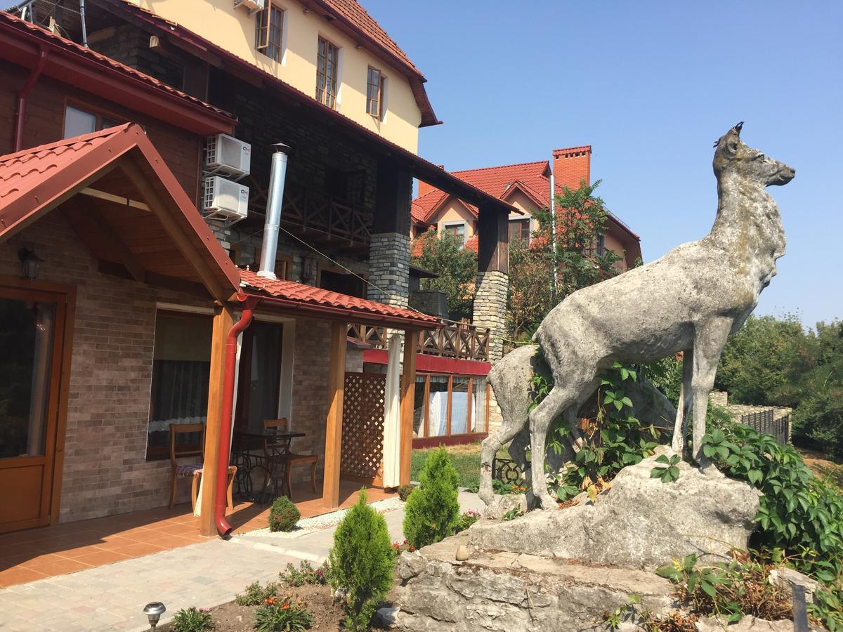 Guesthouse Grand Canyon カームヤネツィ・ポジーリシクィイ エクステリア 写真